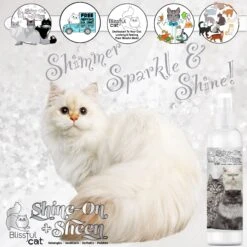 The Blissful Dog Shine-On+Sheen Cat De-Tangling Coat Cat Spray, 4-oz Bottle -Pawfect Care 879830 PT3. AC SS1800 V1689280282