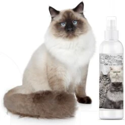 The Blissful Dog Shine-On+Sheen Cat De-Tangling Coat Cat Spray, 4-oz Bottle -Pawfect Care 879830 PT5. AC SS1800 V1689347087