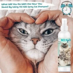 The Blissful Dog No H2O Waterless Cat Shampoo Spray, 4-oz Bottle -Pawfect Care 879846 PT5. AC SS1800 V1689280788