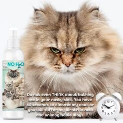 The Blissful Dog No H2O Waterless Cat Shampoo Spray, 4-oz Bottle -Pawfect Care 879846 PT6. AC SS1800 V1689344881