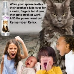 The Blissful Dog Relax Aromatherapy Cat Spray, 2.76-oz Bottle -Pawfect Care 879894 PT2. AC SS1800 V1689279441