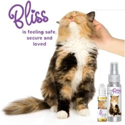 The Blissful Dog Relax Aromatherapy Cat Spray, 2.76-oz Bottle -Pawfect Care 879894 PT3. AC SS1800 V1689279447