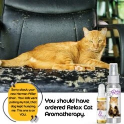 The Blissful Dog Relax Aromatherapy Cat Spray, 2.76-oz Bottle -Pawfect Care 879894 PT6. AC SS1800 V1689279405