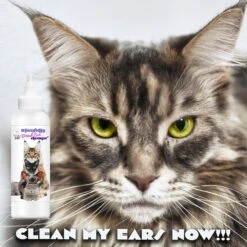 The Blissful Dog Simply Clean Cat Ear Cleaner, 4-oz Bottle -Pawfect Care 879910 PT5. AC SS1800 V1689279432