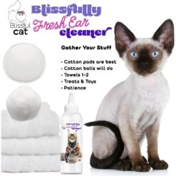 The Blissful Dog Simply Clean Cat Ear Cleaner, 4-oz Bottle -Pawfect Care 879910 PT6. AC SS1800 V1689279436