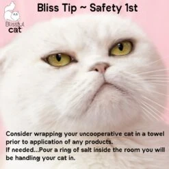 The Blissful Dog Simply Clean Cat Ear Cleaner, 4-oz Bottle -Pawfect Care 879910 PT7. AC SS1800 V1689279436