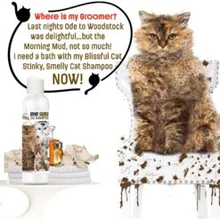 The Blissful Dog Dirty Smelly Cat Shampoo, 4-oz Bottle -Pawfect Care 879926 PT2. AC SS1800 V1689279431