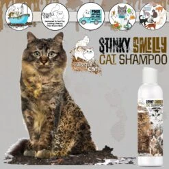 The Blissful Dog Dirty Smelly Cat Shampoo, 4-oz Bottle -Pawfect Care 879926 PT5. AC SS1800 V1689279429