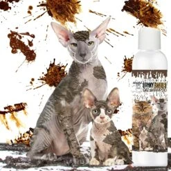 The Blissful Dog Dirty Smelly Cat Shampoo, 4-oz Bottle -Pawfect Care 879926 PT7. AC SS1800 V1689279417