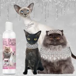 The Blissful Dog Drama Queen Cat Shampoo, 4-oz Bottle -Pawfect Care 879942 PT2. AC SS1800 V1689279414