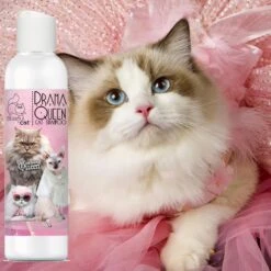 The Blissful Dog Drama Queen Cat Shampoo, 4-oz Bottle -Pawfect Care 879942 PT4. AC SS1800 V1689279415