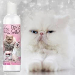 The Blissful Dog Drama Queen Cat Shampoo, 4-oz Bottle -Pawfect Care 879942 PT5. AC SS1800 V1689279412