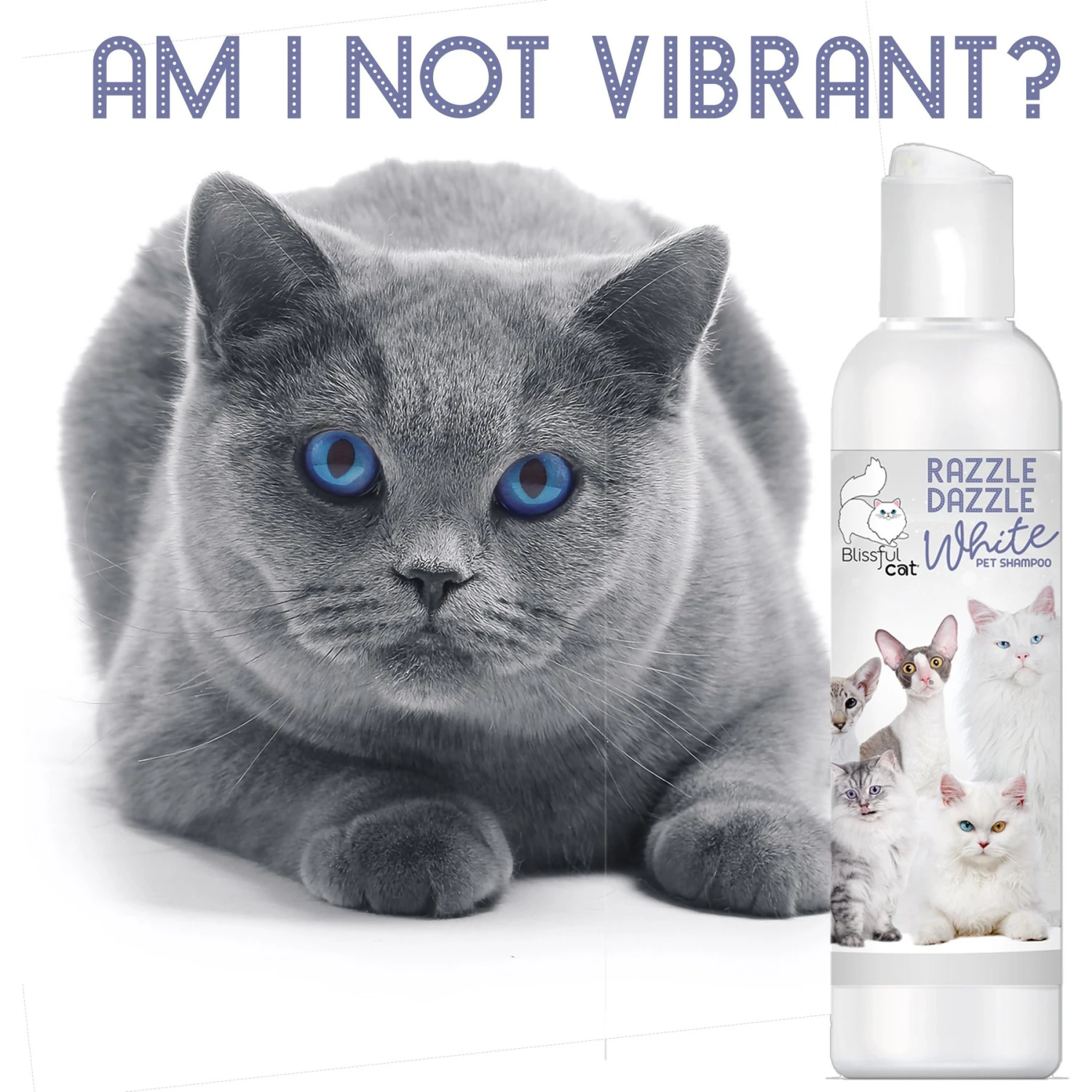 The Blissful Dog Razzle Dazzle White Cat Shampoo, 4-oz Bottle 4 The Blissful Dog Razzle Dazzle White Cat Shampoo, 4-oz Bottle - Image 2