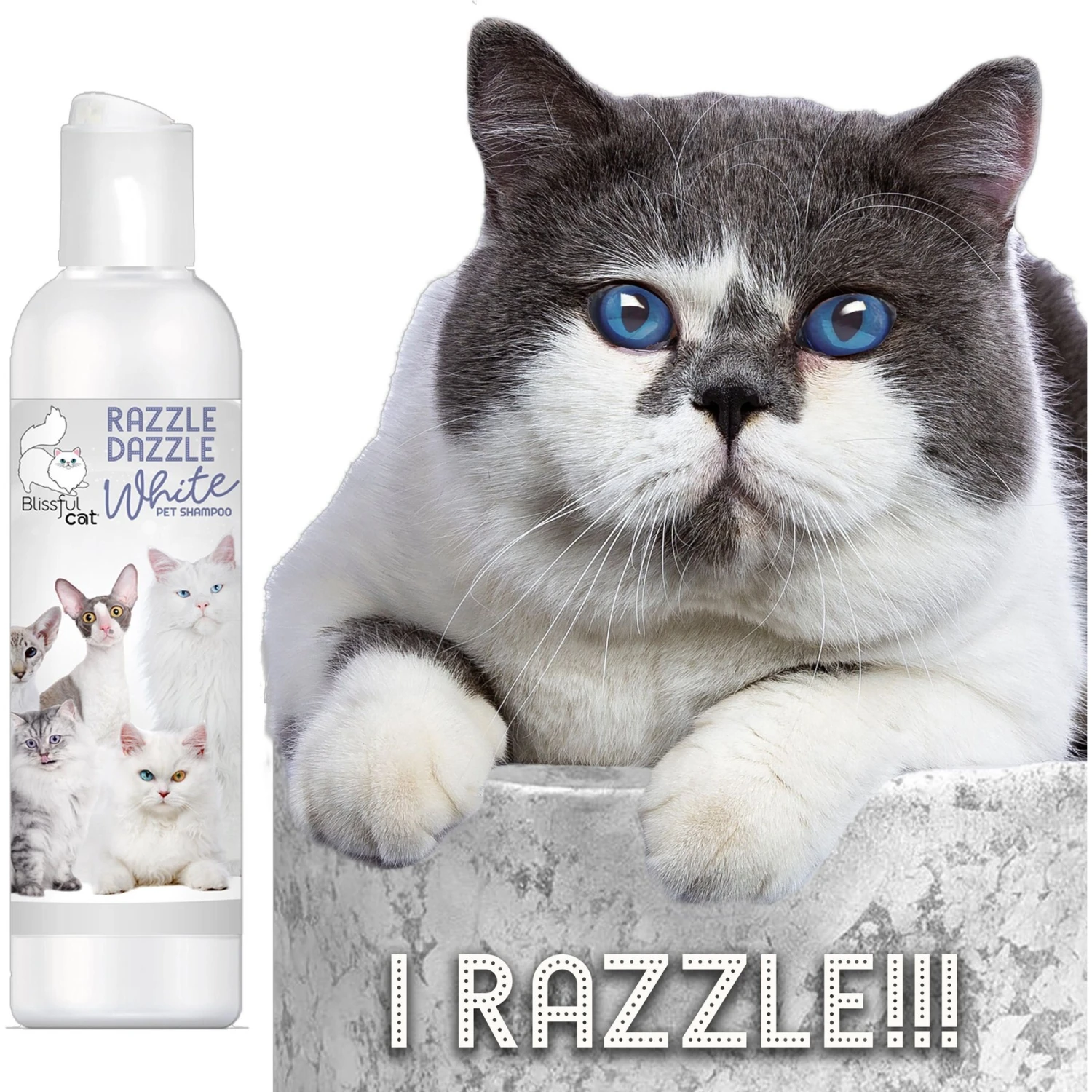 The Blissful Dog Razzle Dazzle White Cat Shampoo, 4-oz Bottle 5 The Blissful Dog Razzle Dazzle White Cat Shampoo, 4-oz Bottle - Image 3
