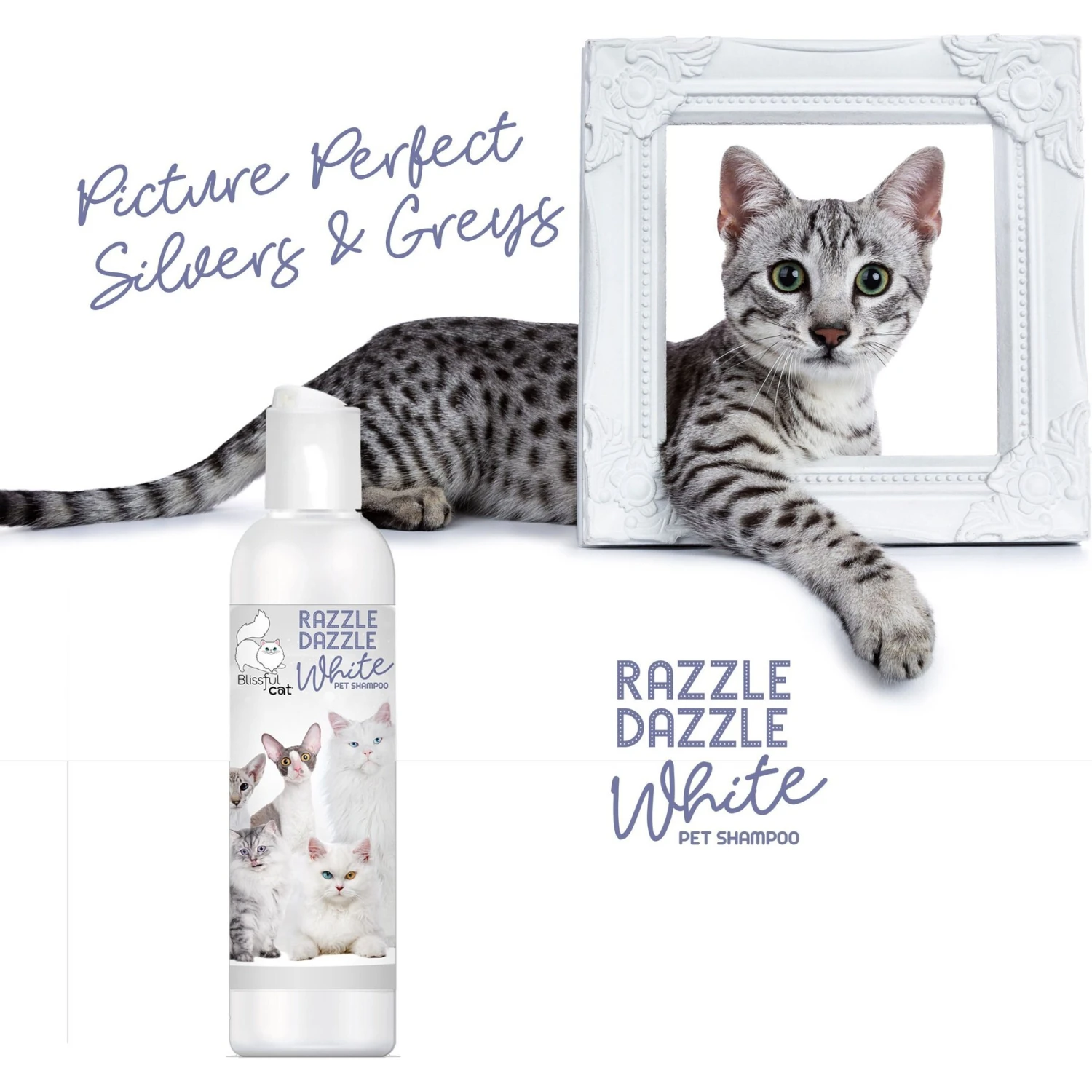 The Blissful Dog Razzle Dazzle White Cat Shampoo, 4-oz Bottle 6 The Blissful Dog Razzle Dazzle White Cat Shampoo, 4-oz Bottle - Image 4