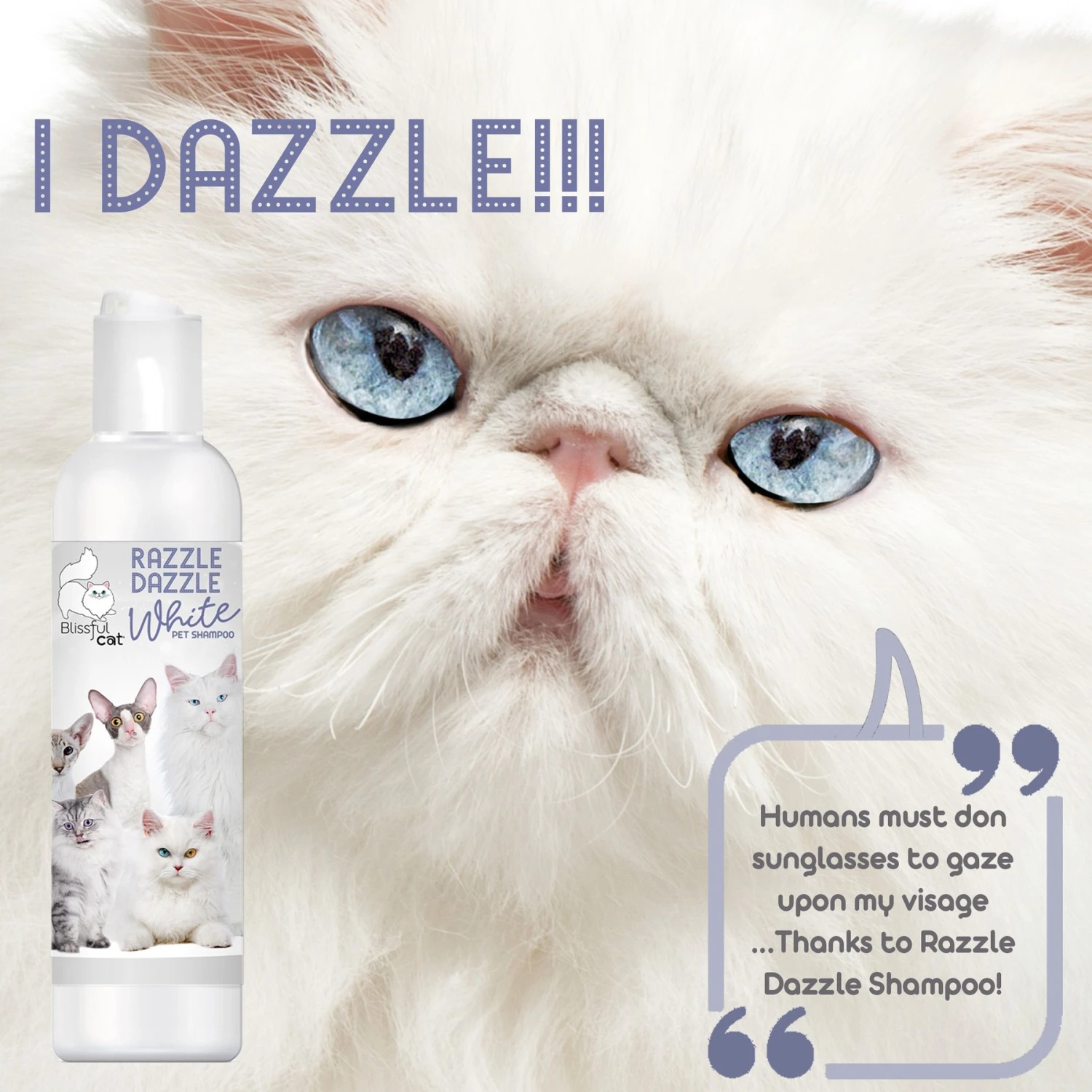 The Blissful Dog Razzle Dazzle White Cat Shampoo, 4-oz Bottle 7 The Blissful Dog Razzle Dazzle White Cat Shampoo, 4-oz Bottle - Image 5