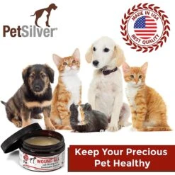 PetSilver Chelated Silver With Hemp Oil Wound Gel For Dogs & Cats, 4-oz Jar -Pawfect Care 887566 PT3. AC SS1800 V1686834862