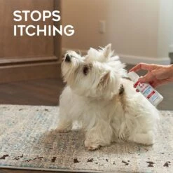 Dogswell Remedy+Recovery Hydrocortisone Lotion For Dogs & Cats, 4-oz Bottle -Pawfect Care 887614 PT4. AC SS1800 V1692801761