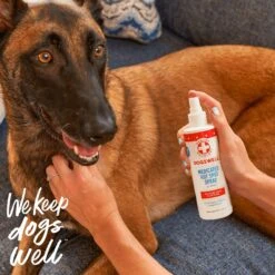 Dogswell Remedy+Recovery Medicated Hot Spot Spray For Dogs & Cats -Pawfect Care 887662 PT5. AC SS1800 V1692798109
