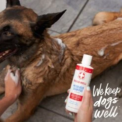 Dogswell Remedy+Recovery Medicated Shampoo For Dogs & Cats, 8-oz Bottle -Pawfect Care 887686 PT4. AC SS1800 V1692798827
