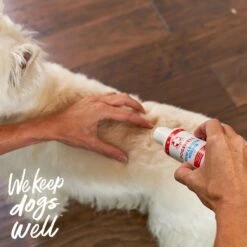 Dogswell Remedy+Recovery Wound & Infection Lotion For Dogs & Cats, 4-oz Bottle -Pawfect Care 887702 PT4. AC SS1800 V1692801760