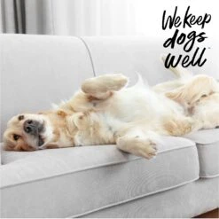 Dogswell Remedy+Recovery Wound & Infection Lotion For Dogs & Cats, 4-oz Bottle -Pawfect Care 887702 PT5. AC SS1800 V1692798108