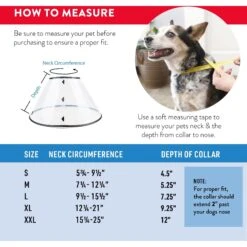 Dogswell Remedy+Recovery Rigid E-Collar For Dogs & Cats, Color Varies -Pawfect Care 887742 PT2. AC SS1800 V1692801762