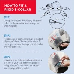 Dogswell Remedy+Recovery Rigid E-Collar For Dogs & Cats, Color Varies -Pawfect Care 887742 PT3. AC SS1800 V1692801816