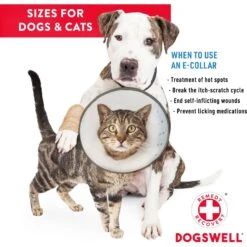 Dogswell Remedy+Recovery Rigid E-Collar For Dogs & Cats, Color Varies -Pawfect Care 887742 PT4. AC SS1800 V1692798826