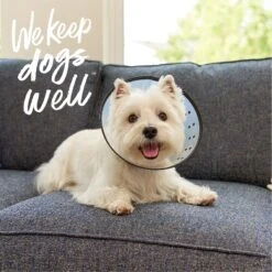 Dogswell Remedy+Recovery Rigid E-Collar For Dogs & Cats, Color Varies -Pawfect Care 887742 PT5. AC SS1800 V1692798053