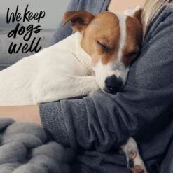 Dogswell Remedy+Recovery Diarrhea Control For Dogs & Cats, 8-oz Bottle 13 Dogswell Remedy+Recovery Diarrhea Control For Dogs & Cats, 8-oz Bottle -Pawfect Care 887766 PT4. AC SS1800 V1692798827