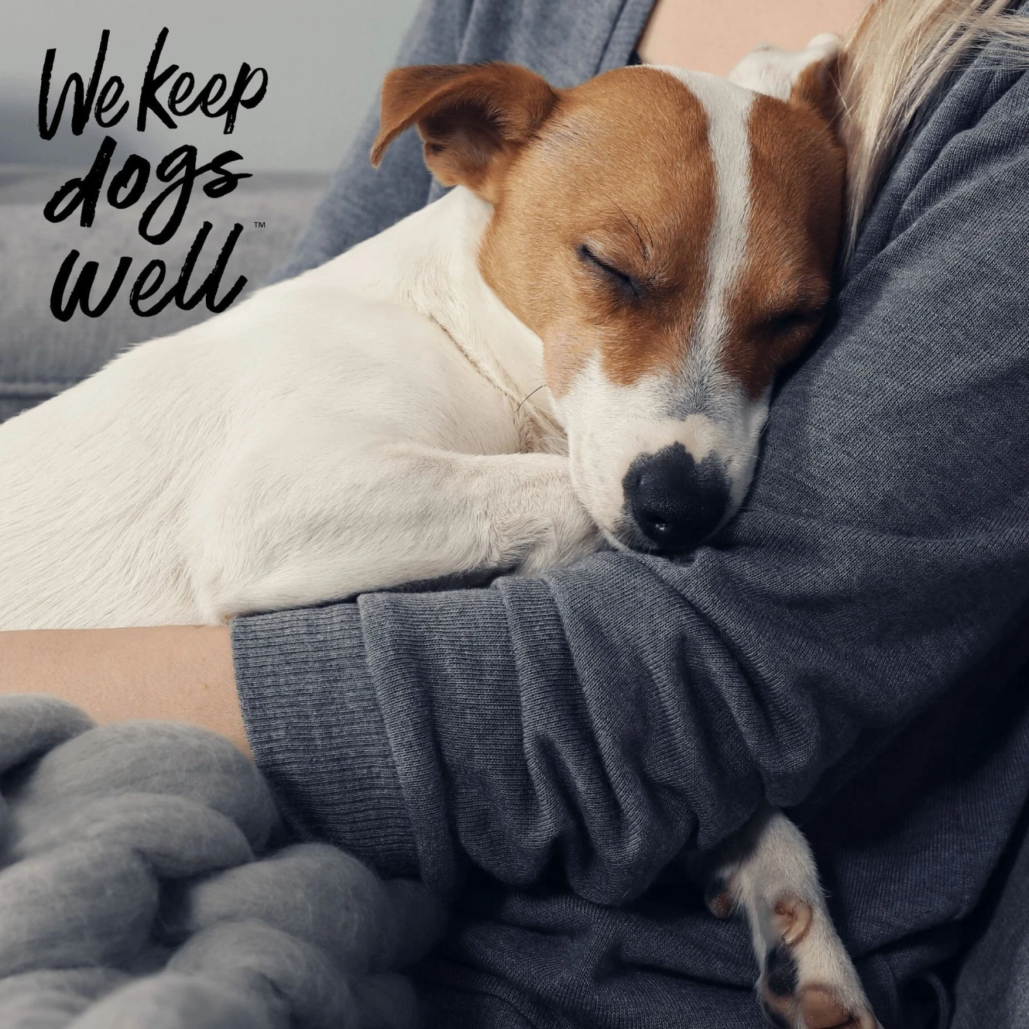 Dogswell Remedy+Recovery Diarrhea Control For Dogs & Cats, 8-oz Bottle 7 Dogswell Remedy+Recovery Diarrhea Control For Dogs & Cats, 8-oz Bottle - Image 5