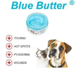Forticept Blue Butter Hot Spot Cat & Dog Wound & Skin Care Ointment, 2-oz Tube -Pawfect Care 887934 PT1. AC SS1800 V1688567867