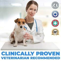 Forticept Blue Butter Hot Spot Cat & Dog Wound & Skin Care Ointment, 2-oz Tube -Pawfect Care 887934 PT3. AC SS1800 V1688567934