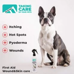 Forticept Maxi-Wash Plus Itch Relief & Hot Spot Cat & Dog Wound Care & Skin Infection Treatment, 8-oz Tube -Pawfect Care 887950 PT2. AC SS1800 V1688567930