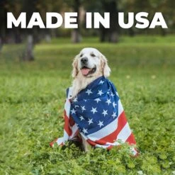 Forticept Maxi-Wash Plus Itch Relief & Hot Spot Cat & Dog Wound Care & Skin Infection Treatment, 8-oz Tube -Pawfect Care 887950 PT4. AC SS1800 V1688419226