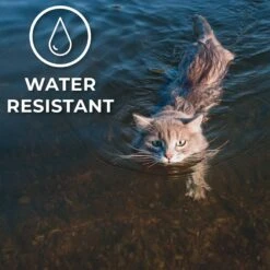 ActivPhy Hip & Joint Mobility Collar For Cats -Pawfect Care 889582 PT5. AC SS1800 V1687376230