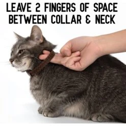 ActivPhy Hip & Joint Mobility Collar For Cats -Pawfect Care 889582 PT6. AC SS1800 V1687376868