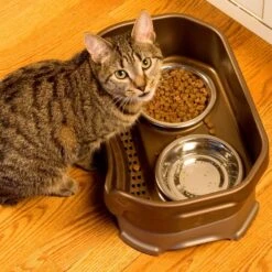 Neater Pets Neater Feeder Deluxe Elevated & Mess-Proof Cat Bowls, Bronze -Pawfect Care 89632 PT3. AC SS1800 V1672862674