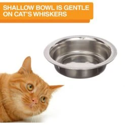 Neater Pets Neater Feeder Elevated Cat Bowls, Cranberry 17 Neater Pets Neater Feeder Elevated Cat Bowls, Cranberry -Pawfect Care 89633 PT8. AC SS1800 V1631138523
