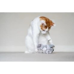 P.L.A.Y. Pet Lifestyle And You Feline Frenzy Blissful Birdie Plush Squeaky Cat Toy -Pawfect Care 897126 PT3. AC SS1800 V1689795083