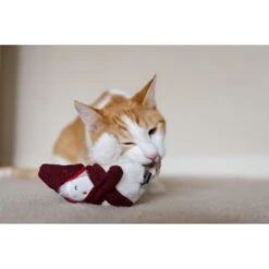 P.L.A.Y. Pet Lifestyle And You Feline Frenzy Chirpy Birdie Plush Squeaky Cat Toy -Pawfect Care 897142 PT3. AC SS1800 V1689795102