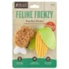 P.L.A.Y. Pet Lifestyle And You Feline Frenzy Purrfect Picnic Plush Squeaky Cat Toy, 2 Count -Pawfect Care 897334 MAIN. AC SS1800 V1689793882