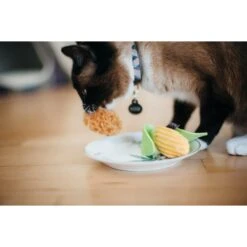 P.L.A.Y. Pet Lifestyle And You Feline Frenzy Purrfect Picnic Plush Squeaky Cat Toy, 2 Count -Pawfect Care 897334 PT3. AC SS1800 V1689960578