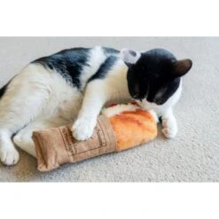 P.L.A.Y. Pet Lifestyle And You Feline Frenzy Tuna Baguette Plush Squeaky Cat Toy With Catnip -Pawfect Care 897350 PT4. AC SS1800 V1689962504