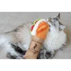 P.L.A.Y. Pet Lifestyle And You Feline Frenzy Tuna Baguette Plush Squeaky Cat Toy With Catnip -Pawfect Care 897350 PT5. AC SS1800 V1689800812