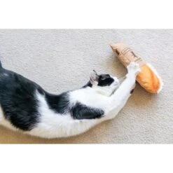P.L.A.Y. Pet Lifestyle And You Feline Frenzy Tuna Baguette Plush Squeaky Cat Toy With Catnip -Pawfect Care 897350 PT6. AC SS1800 V1689795052