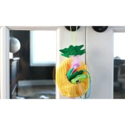 Quirky Kitty Tropical Teaser Doornob Dangler Cat Toy -Pawfect Care 900230 PT2. AC SS1800 V1689015587