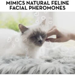 ThunderEase Calming Spray For Cats -Pawfect Care 90025 PT4. AC SS1800 V1689283456