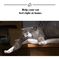 ThunderEase Calming Spray For Cats -Pawfect Care 90025 PT5. AC SS1800 V1508262120